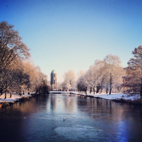 Winter in 030 #winter #natuurijs #utrecht