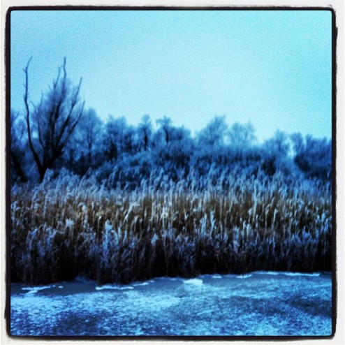 #natuurijs #belterwiede #schaatsen