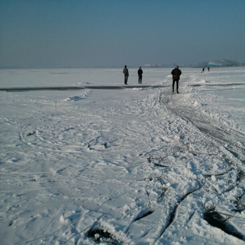 #natuurijs!!! #binnenschelde