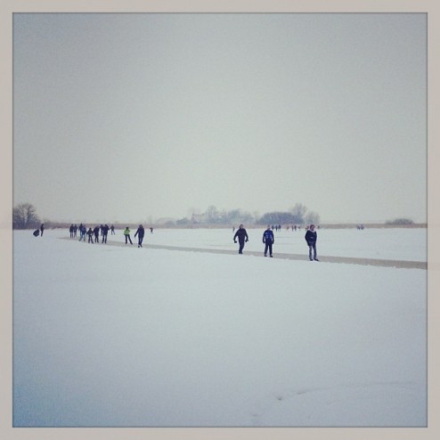 Sneeuwig #schildmeer #natuurijs