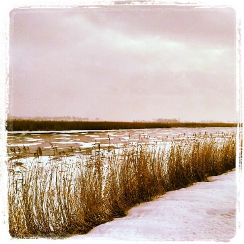 #eeuwijcksluis #annapaulowna #noordholland #iceskating #natuurijs #natuurijstocht