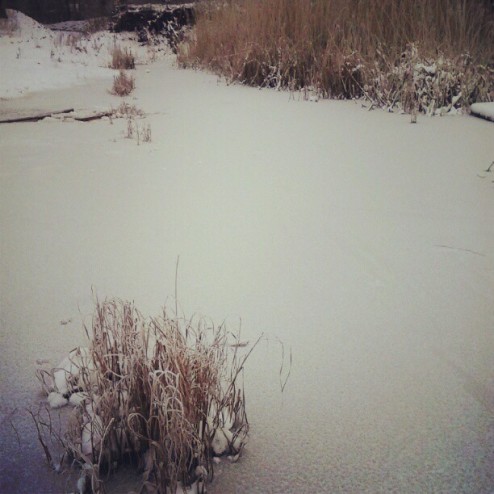 #schaatsen #op #natuurijs
