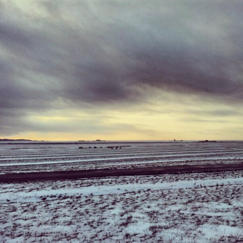 #winter #ice #natuurijs #annapaulowna
