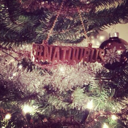 #gevenmetkerst #natuurijs