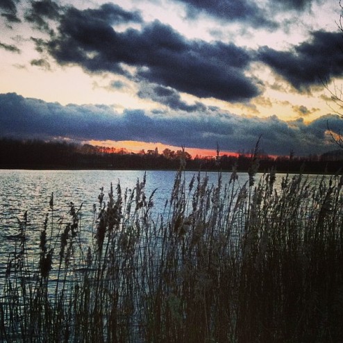 ??We wachten het af #natuurijs #hilgelo Ik wil schaatsen ??????