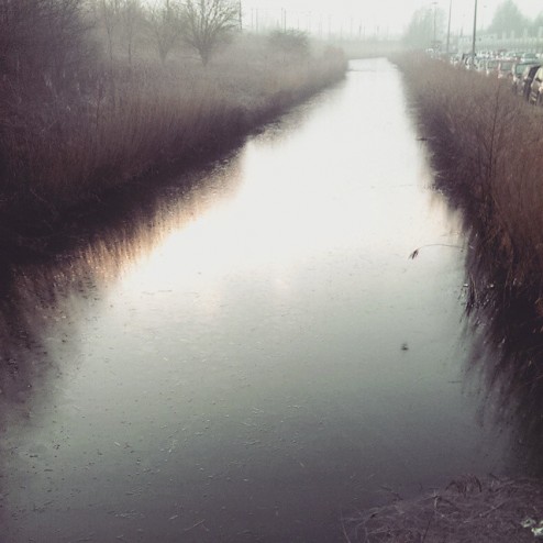 Zou het dan toch nog gebeuren? #natuurijs #schaatsen