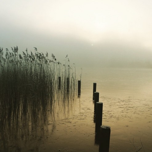 First ice at the lake in Eelderwolde, paterswoldsemeer Netherlands #paterswolde #eelde #ice #natuurijs #nature #lake #frozen #eelderwolde #freezing #home