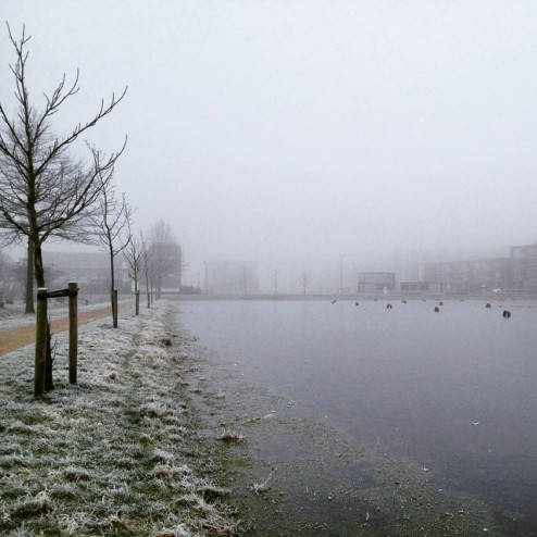 It giet nog niet oan in #Huizen. 1cm #ijs ????. #schaatsen #speedskating #natuurijs #nature #naturelovers #naturephotography #netherlands #nederland #holland #igholland #ice #picoftheday #photooftheday #cold #winter #vsco #vscocam #vsconature