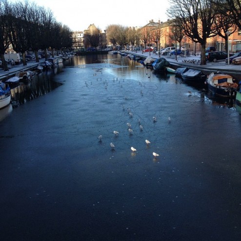 Ik wou dat ik een meeuw was #natuurijs #ice #iceskating