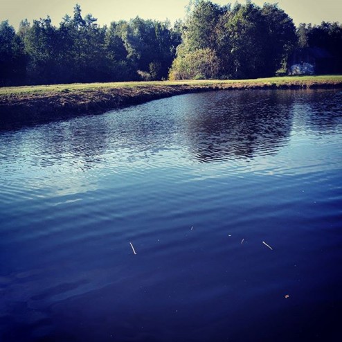 IJsbaan #Utrecht #Overvecht #Gagelplas #winterklaar #staatsbosbeheer_featureme #schaatsenrijders #schaatsen #gagelbos #Gagelkoek #koekenzopie #winter #ijsbaan #ijs #natuurijsbaan #natuurijs #ijsclubsiberia #natuursprong #oerrr