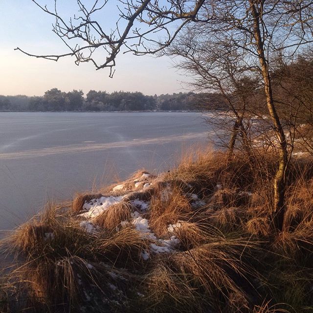 First ones on the ice today! Did 22kms. Searching for ice thick enough To skate! #viking #iceskating #natuurijs #brandeveen  #nederland #natuur #sport #wittelte