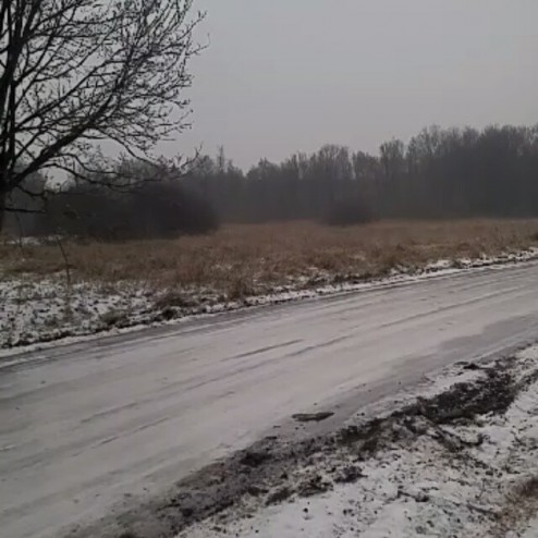 Rintje Ritsma #natuurijs