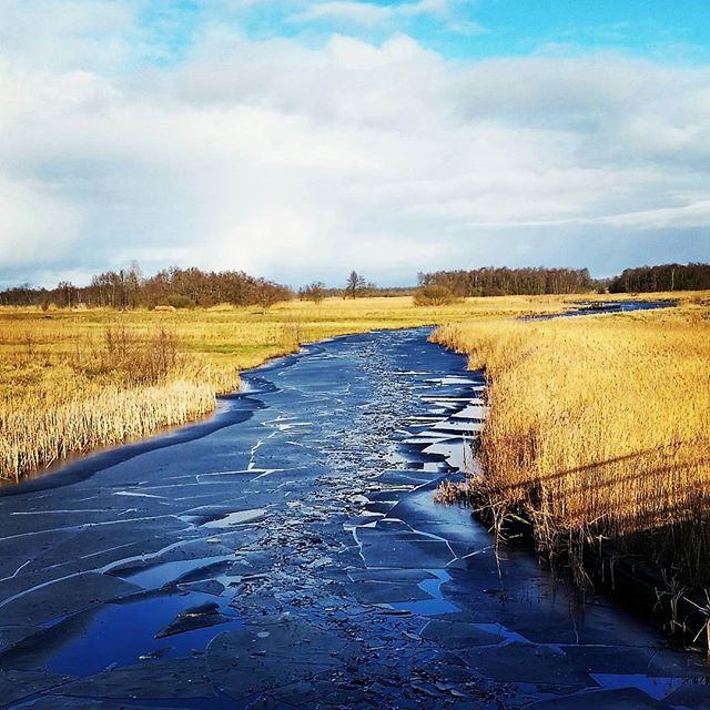#natuurijs #Wanneperveen #ijs #winter #noskatingtoday #Wieden