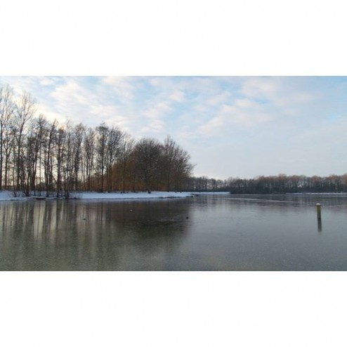Het begint nu wel te kriebelen met zo'n mooie ijsvloer...
#schaatsen #iceskating #winter #winterseason #wedderbergen #ijs #natuurijs