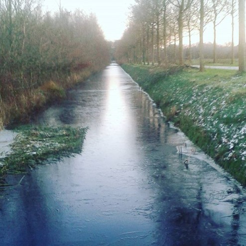 De natuurijskoorts begint te komen! #hijkomt #ijspret #winteriscoming #winterishere #schaatsen #marathonschaatsen #natuurijs #winter #speedskating #iceskating #speed #sport #skating