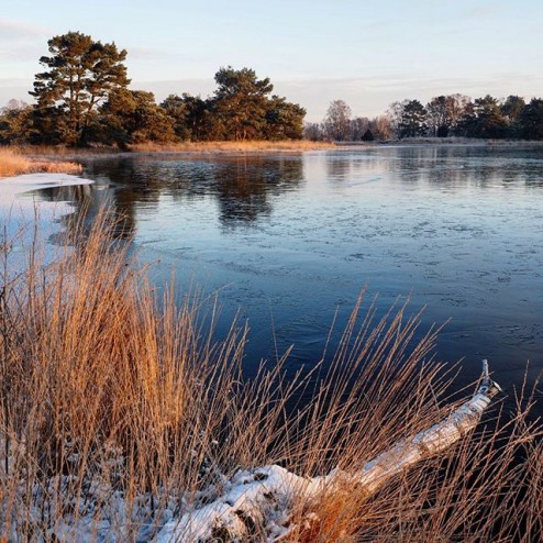 Het mooie zwarte ijs van het Hondenven vanmorgen, vlak voor de schaatser arriveerde. Vanavond een klein item over de schaatser van vanmorgen in #hartvannederland. 
#zwartijs #natuurijs  #schaatsen #iceskating #schlittschuhlaufen #icerink #skatingrink #freezing  #Hondenven #Tubbergen #Twente #beleef_twente #overijssel #Harbrinkhoek #instatravel #vakantie #fotofanatics_nature @meteogroupweer #reflection_shotz #loves_reflections #postcardsfromtheworld  #dutch_connextion #super_holland @rtlnieuws #ig_nederland #igholland #loves_netherlands #bestdutch #Haaksbergen @nosop3