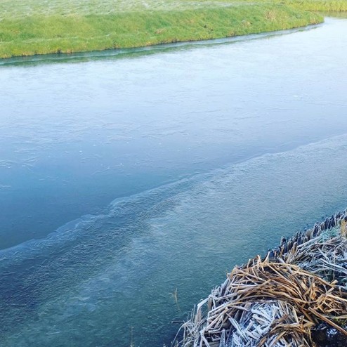 #dag18  In #2016 iedere dag een #foto op #instagram gemaakt op een willekeurig moment van de dag. #vandaag :  #schaatsen zal niet gaan, maar het is wel een prachtig gezicht. #ijs in de #polder . #alblasserwaard  #langerak #tkennet #iederedageenfoto #everydayapicture #18 van366 #20160118 #day18 #natuurijs #bluemonday